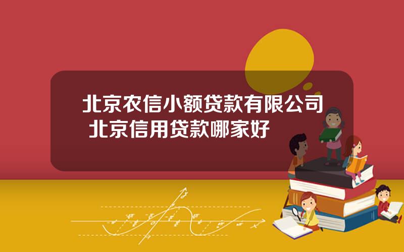 北京农信小额贷款有限公司 北京信用贷款哪家好